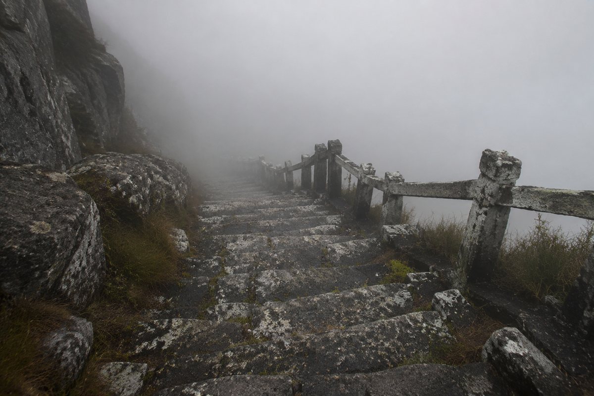 Een versleten stenen trap die in de mist naar beneden verdwijnt, met korstmos op de treden